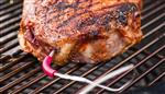 Charmglow Grill Parts: Weber iGrill Pro Temperature Probe - (for Meat Temp.)